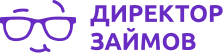 Логотип Директор займов